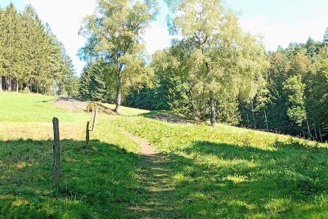 Wie der Urgraben den Bergbau in Suggental und Glottertal ermglichte