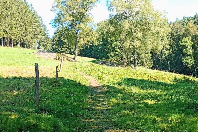 Zwei Lesesteinhaufen auf einer Wiese: ... wiederum Schpfwerke in Gang hielten.  | Foto: Sylvia Sredniawa