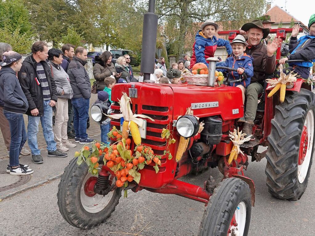 Traktoren, Musik und bunte Kostme gab es beim Erntedankumzug in Niederwihl.