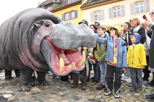 Ein Riesennilpferd lsst sich gerne streicheln.  | Foto: Bernhard Seitz