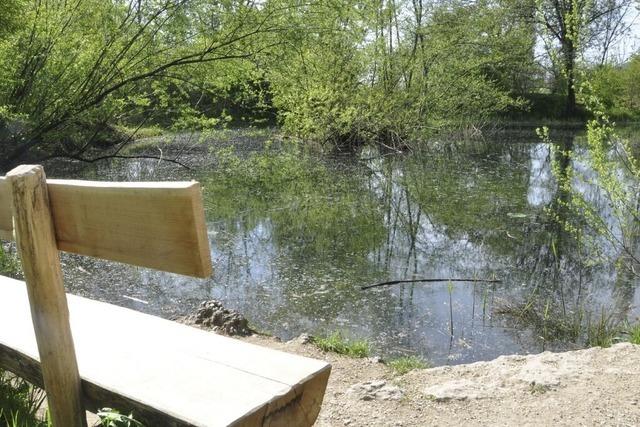 Weiher werden abgedichtet