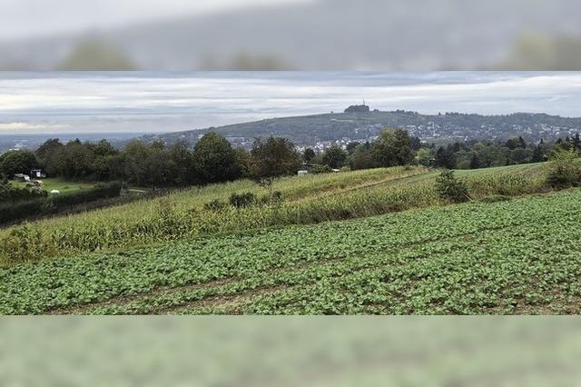 Vorgehen gegen die illegalen Bauten stockt