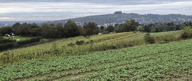 Illegale Bauten im Auenbereich vor al...chlsse gibt es aber Schwierigkeiten.   | Foto: Christian Kramberg