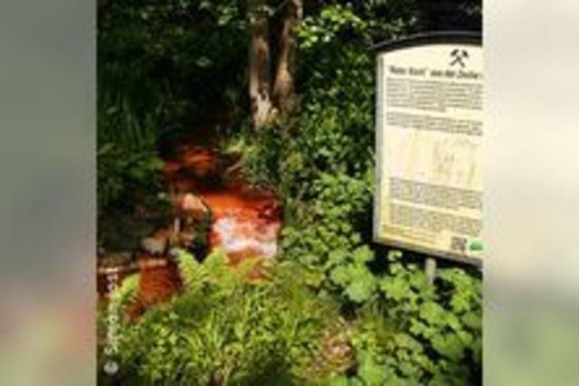 Botanischer Garten Rombergpark