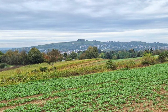 Illegale Bauten im Auenbereich vor al...schlsse gibt es aber Schwierigkeiten.  | Foto: Christian Kramberg