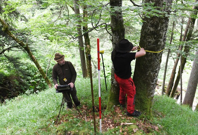 F&uuml;r den Bericht wird eine Stichprobe des Waldes untersucht.  | Foto: Angelika Warmuth/dpa