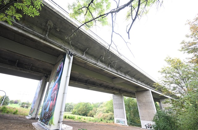 Das Land will jede zehnte Br&uuml;cke ...en in Baden-W&uuml;rttemberg sanieren.  | Foto: Bernd Wei&szlig;brod/dpa