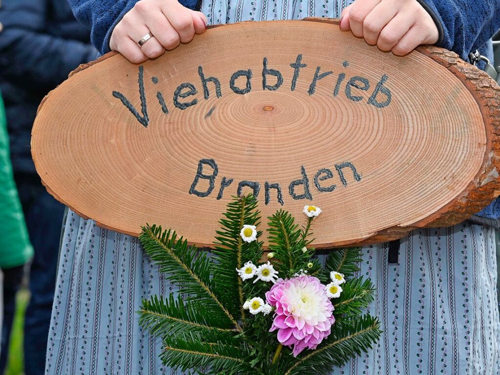 Wenn die Rinder fr die kalte Jahreszeit die hoch gelegenen Weiden verlassen, werden sie von den Menschen in Mnstertal und einem Volksfest empfangen.