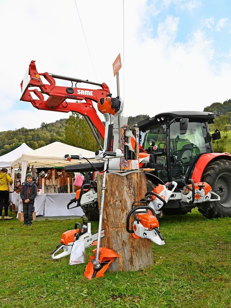 Wenn die Rinder fr die kalte Jahreszeit die hoch gelegenen Weiden verlassen, werden sie von den Menschen in Mnstertal und einem Volksfest empfangen.