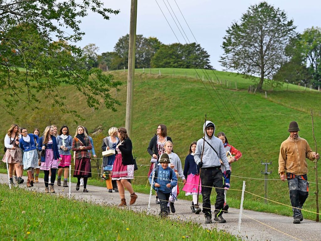 Wenn die Rinder fr die kalte Jahreszeit die hoch gelegenen Weiden verlassen, werden sie von den Menschen in Mnstertal und einem Volksfest empfangen.