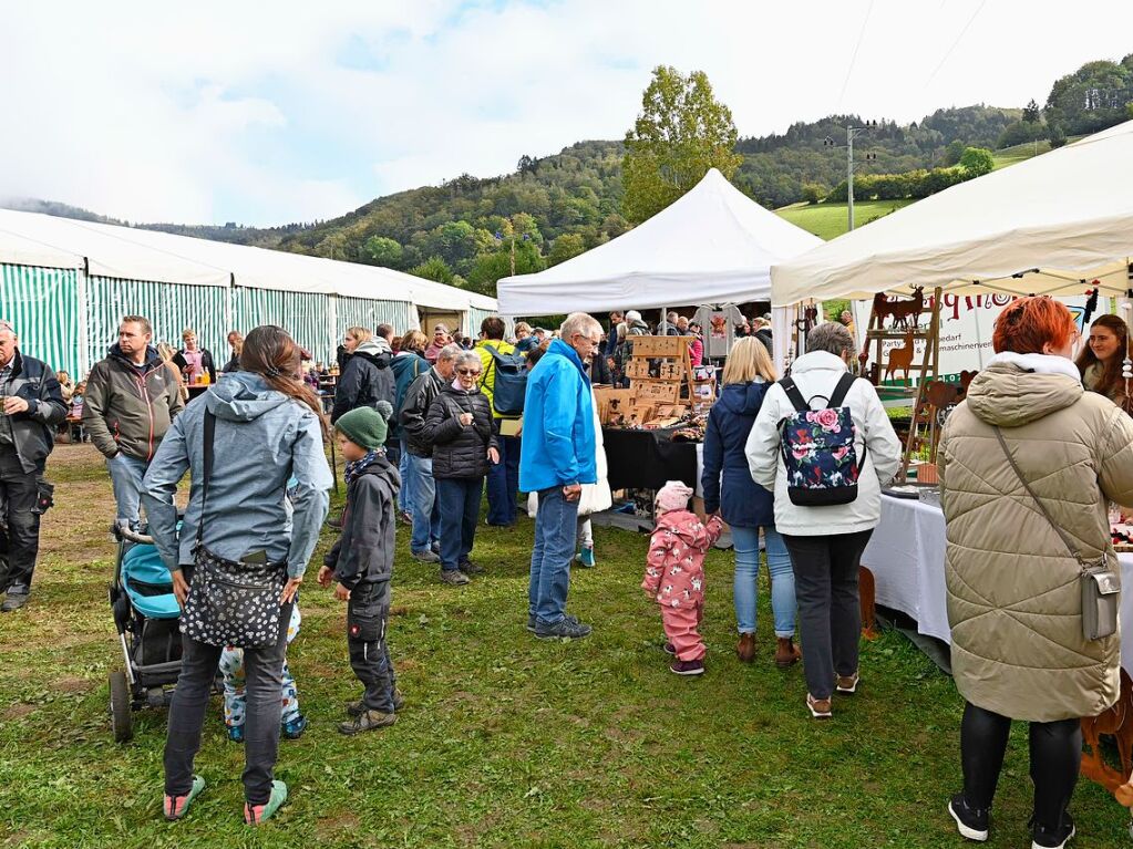 Wenn die Rinder fr die kalte Jahreszeit die hoch gelegenen Weiden verlassen, werden sie von den Menschen in Mnstertal und einem Volksfest empfangen.