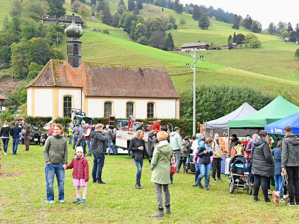 Wenn die Rinder fr die kalte Jahreszeit die hoch gelegenen Weiden verlassen, werden sie von den Menschen in Mnstertal und einem Volksfest empfangen.