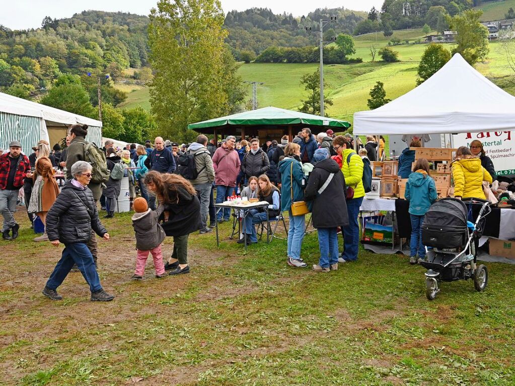 Wenn die Rinder fr die kalte Jahreszeit die hoch gelegenen Weiden verlassen, werden sie von den Menschen in Mnstertal und einem Volksfest empfangen.