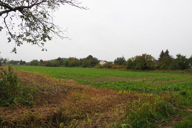 In Efringen-Kirchen baut ein Investor eine Photovoltaikanlage an den Bahngleisen