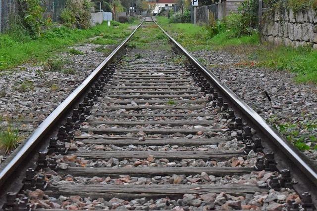 IG Pro-Kandertalbahn: Reaktivierung wrde die Fahrzeit nach Basel halbieren