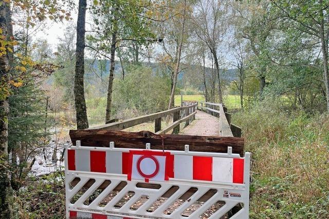 Der Ersatz fr zwei marode Holzbrcken in Schluchsee ist fast zu teuer, um wahr zu sein