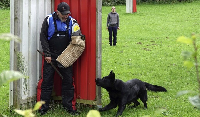 Den Aggressor stellen: Der junge Hund ...ll und zeigte es mit lautem Bellen an.  | Foto: Silvia Schillinger-Teschner