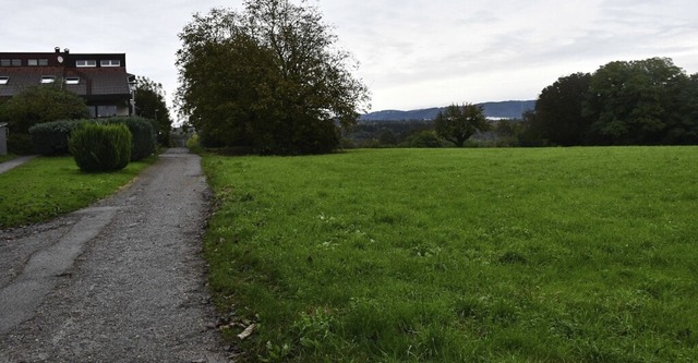 Das knftige Baugebiet Auf der Schanz ...arsau und die angrenzende Wohnbebauung  | Foto: Heinz und Monika Vollmar