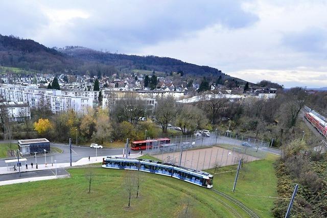 50 alte Bebauungsplne in Freiburg sind auf einen Schlag ungltig - wegen einer Petitesse