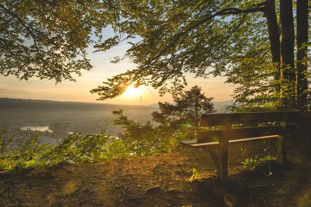 Lieblingsplatz &quot;Mumpfer Fluh&quot; mit Blick auf Bad Sckingen  | Foto: Dirk Dbele, stock.adobe.com