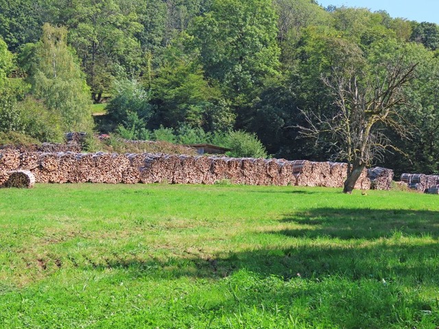 Rund um Wehr und flingen ist die Wald...e krperliche Arbeit wieder attraktiv.  | Foto: Gerd Leutenecker