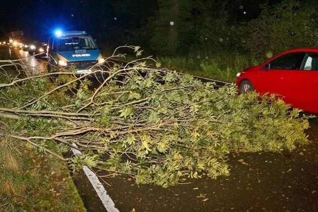 Ex-Hurrikan sorgt in Baden-Wrttemberg fr Orkanben und Feuerwehreinstze