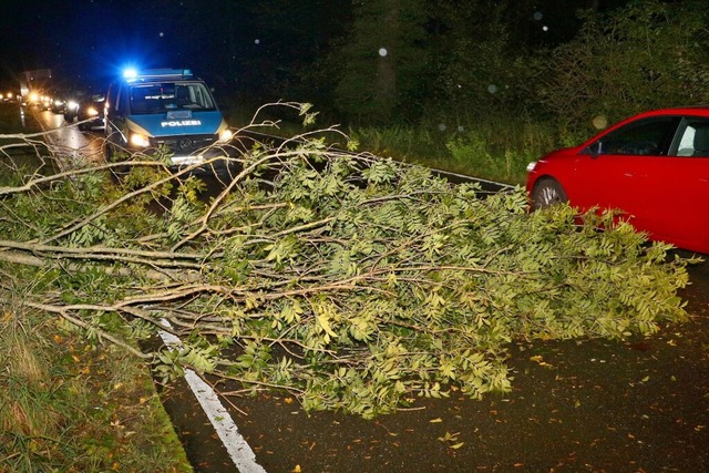 Baden-Wrttemberg, Korntal-Mnchingen:...ntrchtigungen im Bahnverkehr gesorgt.  | Foto: Andreas Rometsch (dpa)