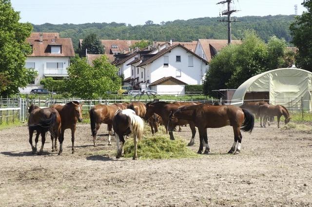 Umsiedlung steht rechtlich nichts mehr im Weg