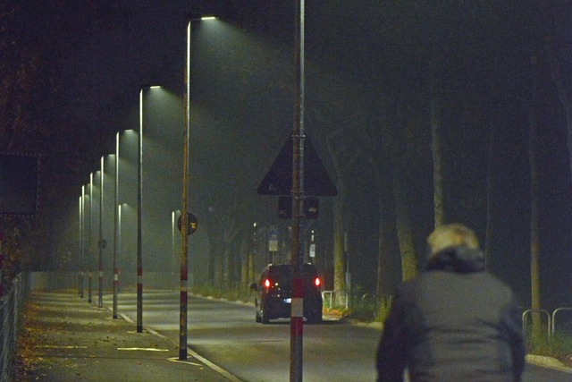 Die neuen Lampen leuchten zielgenau auf die Strae.  | Foto: Michael Bamberger