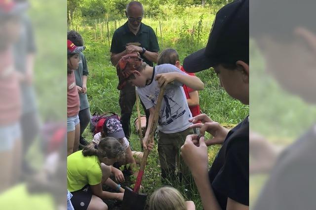 Waldpdagogik wird wichtiger