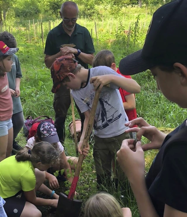 Waldpdagogik wird an der Naturparksch... und Kindergrten wieder in den Wald.   | Foto: Gerd Leutenecker