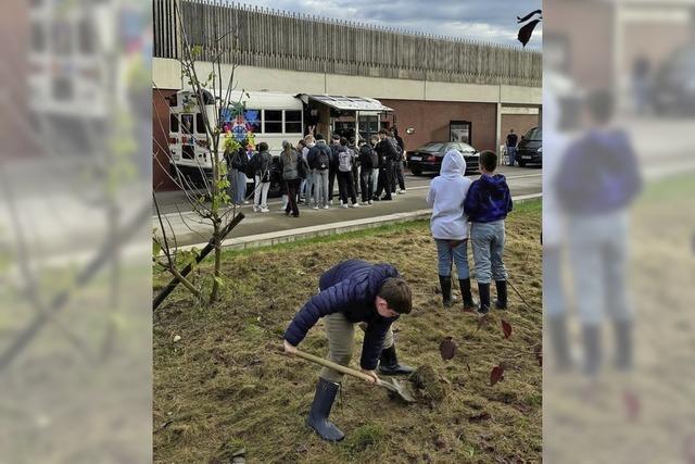 Lahrer Schler pflanzen 9000 Blumenzwiebeln