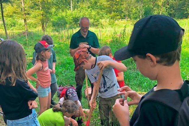 Waldpdagogik wird in Rickenbach immer wichtiger