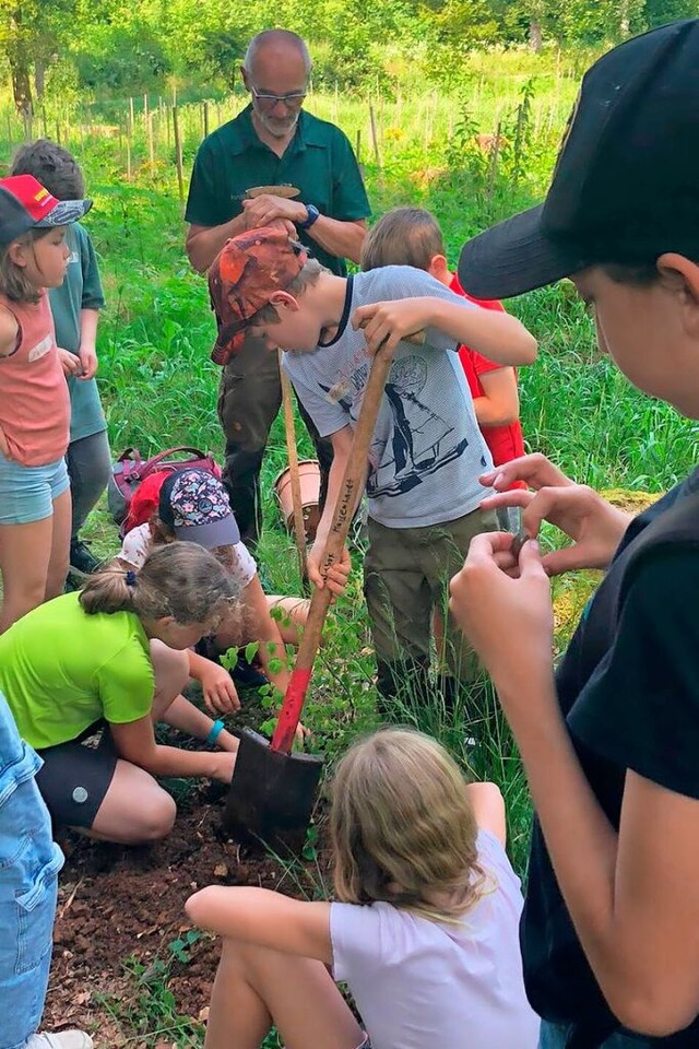 Waldpdagogik wird an den Naturparksch... und Kindergrten wieder in den Wald.   | Foto: Gerd Leutenecker