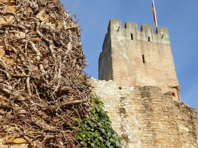 Burg Rtteln  | Foto: Sabine Ehrentreich