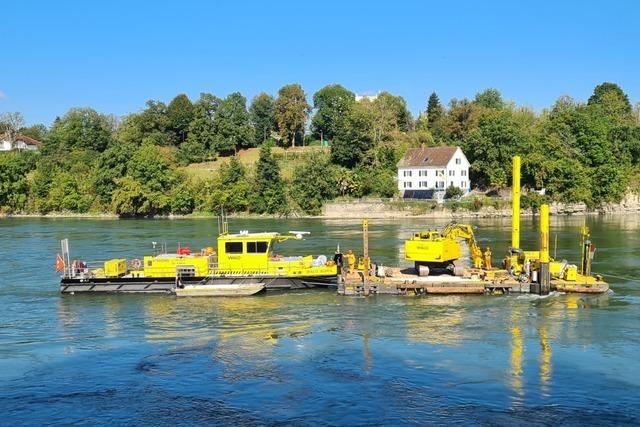 Rheinfelder Rte stellen Fragen zur Rheinvertiefung