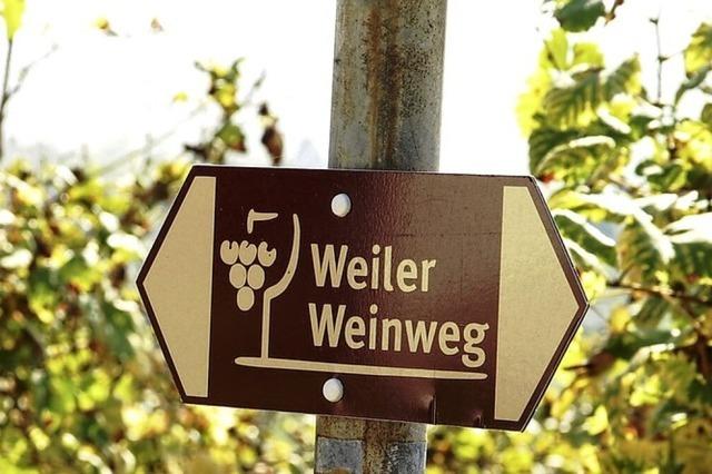 Weinweg in Flammen nun auch im Film