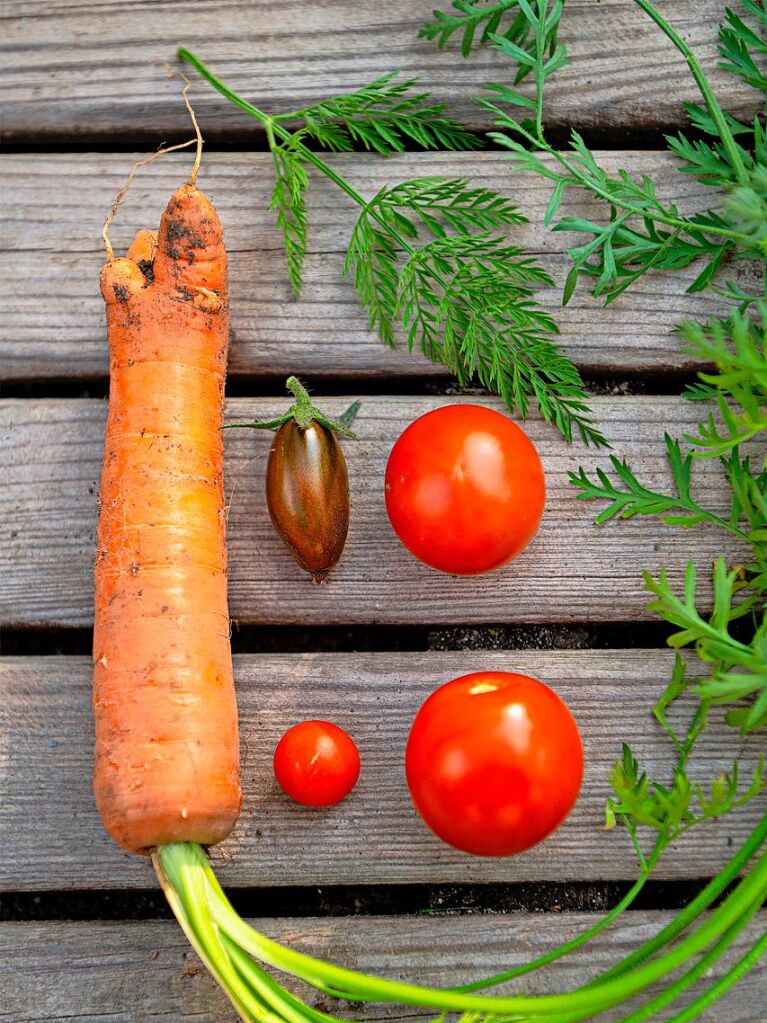 Jetzt ist Erntezeit im Garten.