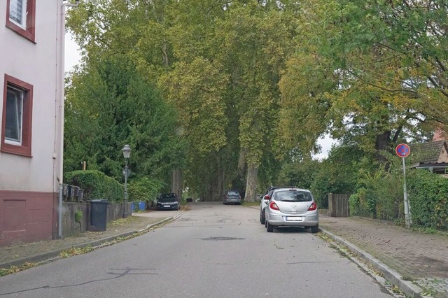 Vermehrt wurden in der Platanenallee A...as vor allem den Busverkehr behindert.  | Foto: Volker Mnch