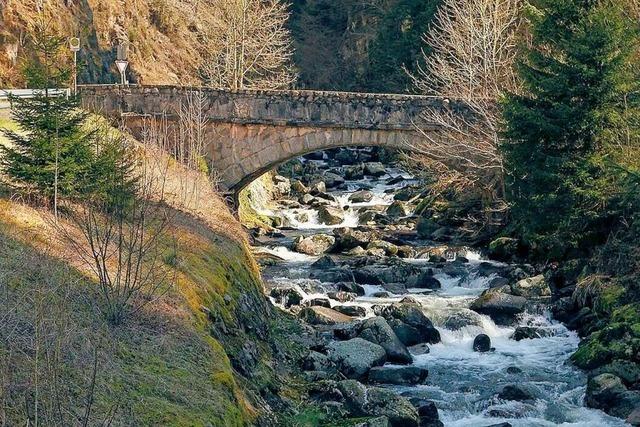 Die letzten Schluchtensteig-Kilometer: Eine der anspruchsvollsten Wanderstrecken im Sdschwarzwald