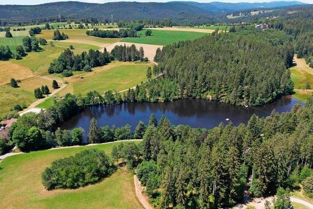 Im Schlchtsee in Grafenhausen wird’s auch 2025 wenig Wasser geben