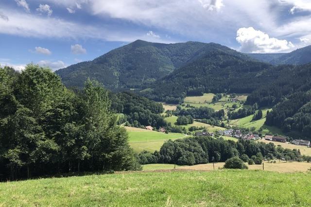 Der abwechslungsreiche Mhlenwanderweg in Simonswald berrascht mit schnen Ausblicken