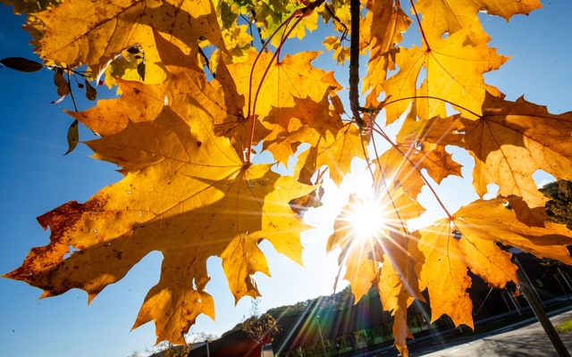 Ab Dienstag wird nach langem Regen in ...ig Sonnenschein erwartet. (Symbolbild)  | Foto: Christoph Schmidt/dpa