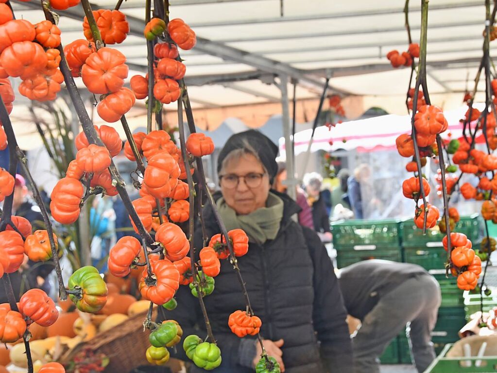 Eindrcke vom Lrracher Herbstfest