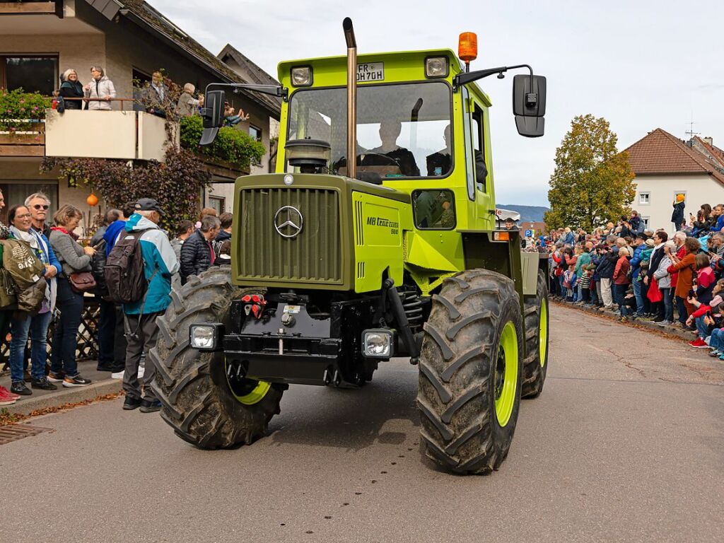 Die Tiere der Erlenbacher Weidegenossenschaft sind wieder im Tal. Das wurde in Oberried beim Almabtrieb mit einem groen Fest gefeiert.