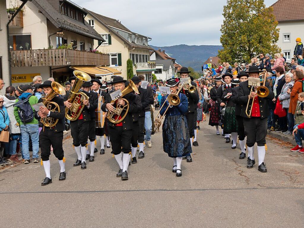 Die Tiere der Erlenbacher Weidegenossenschaft sind wieder im Tal. Das wurde in Oberried beim Almabtrieb mit einem groen Fest gefeiert.