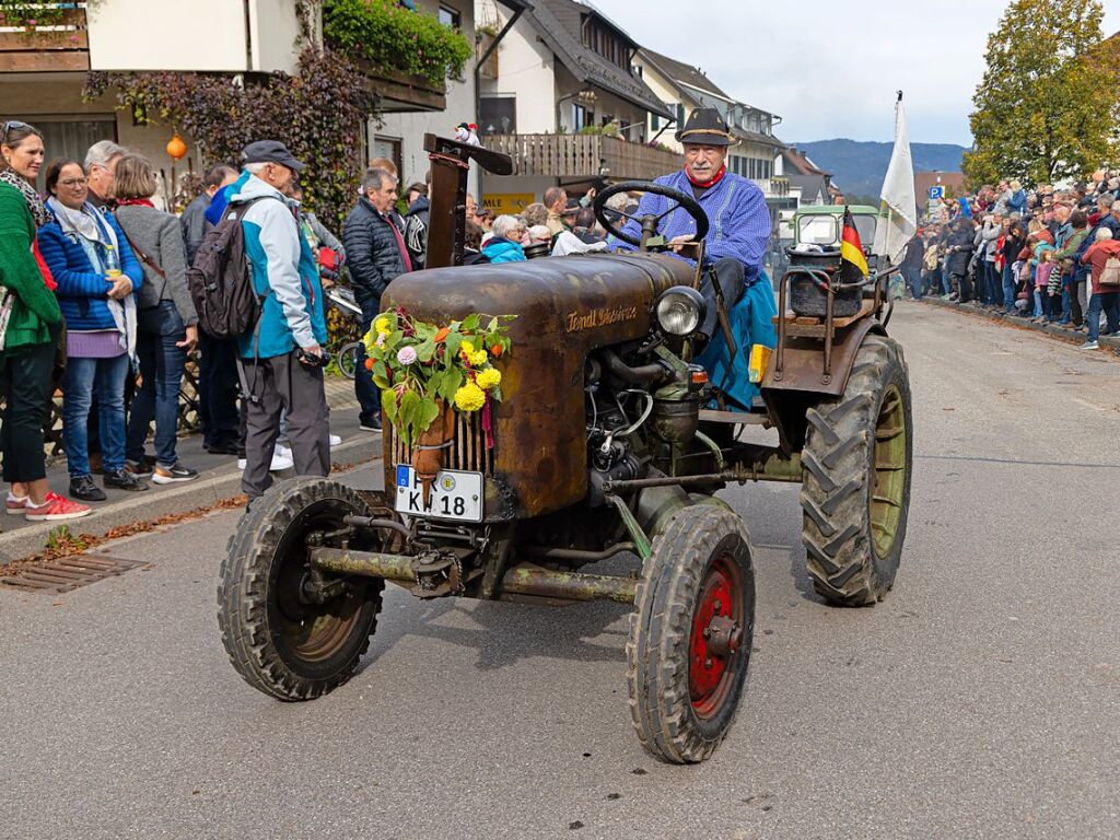 Die Tiere der Erlenbacher Weidegenossenschaft sind wieder im Tal. Das wurde in Oberried beim Almabtrieb mit einem groen Fest gefeiert.