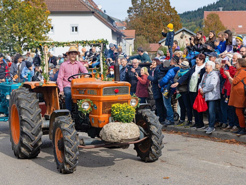 Die Tiere der Erlenbacher Weidegenossenschaft sind wieder im Tal. Das wurde in Oberried beim Almabtrieb mit einem groen Fest gefeiert.