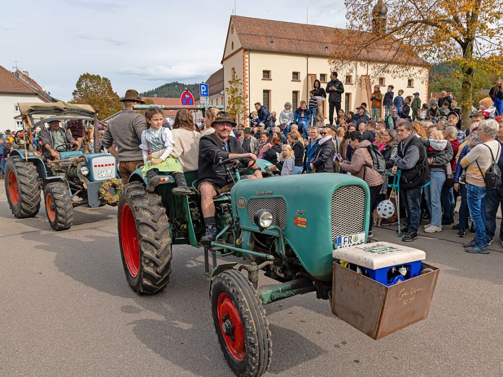 Die Tiere der Erlenbacher Weidegenossenschaft sind wieder im Tal. Das wurde in Oberried beim Almabtrieb mit einem groen Fest gefeiert.