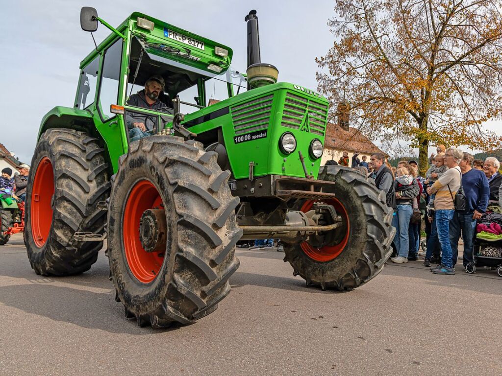 Die Tiere der Erlenbacher Weidegenossenschaft sind wieder im Tal. Das wurde in Oberried beim Almabtrieb mit einem groen Fest gefeiert.